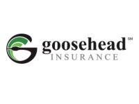 Goosehead Insurance - Chuck Feeney image 1